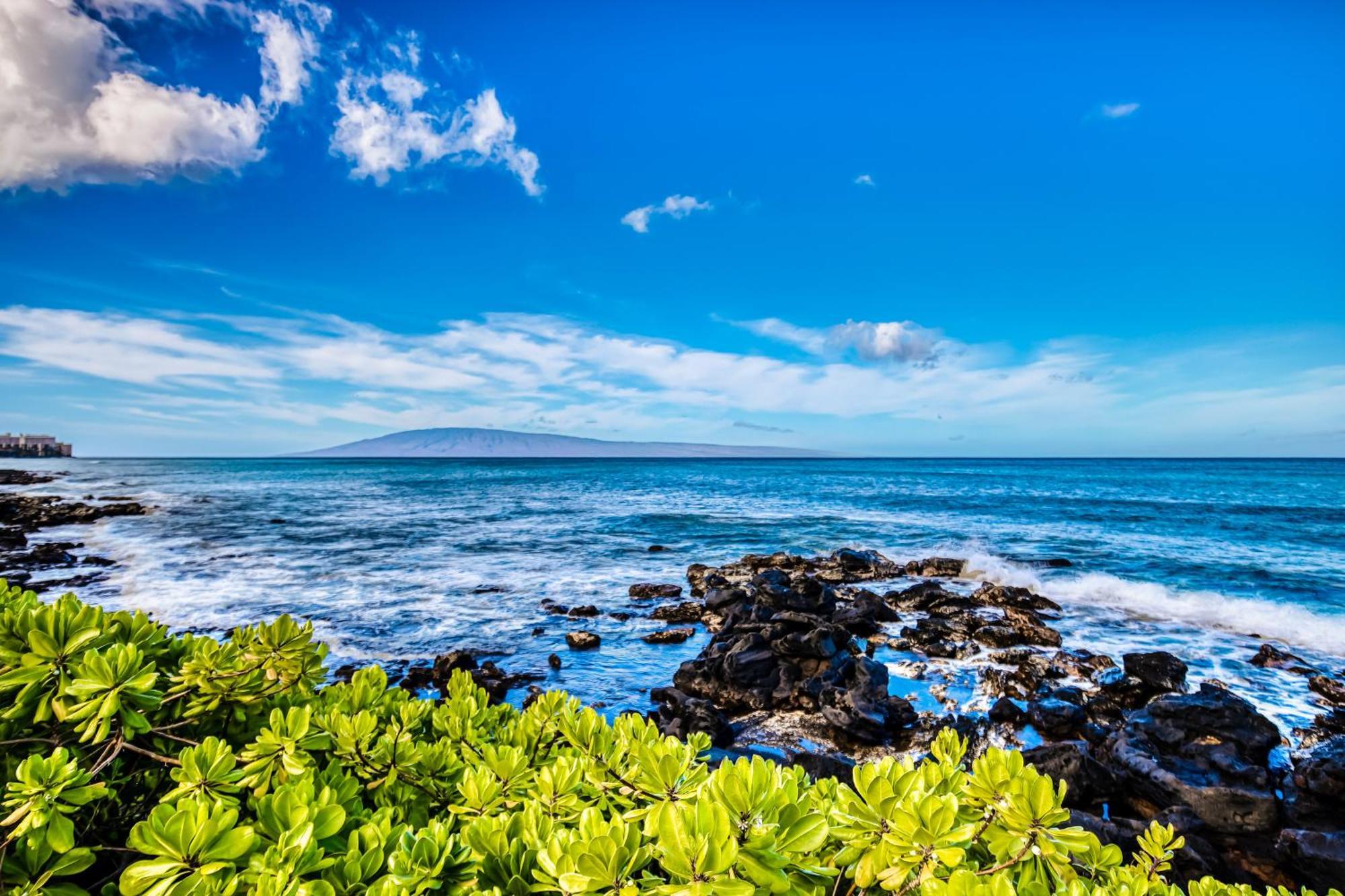 Mahina Surf Apartment Kahana Room photo